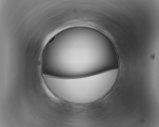 X0000113621528200909181104