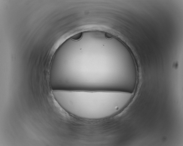 X0000113621529200909181104