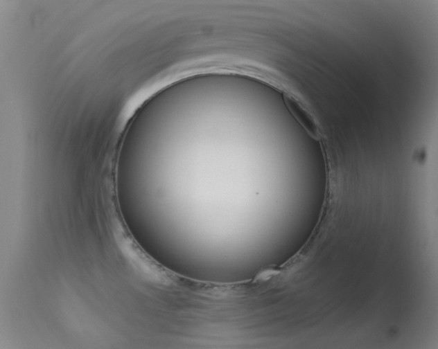 X0000113621530200909181104