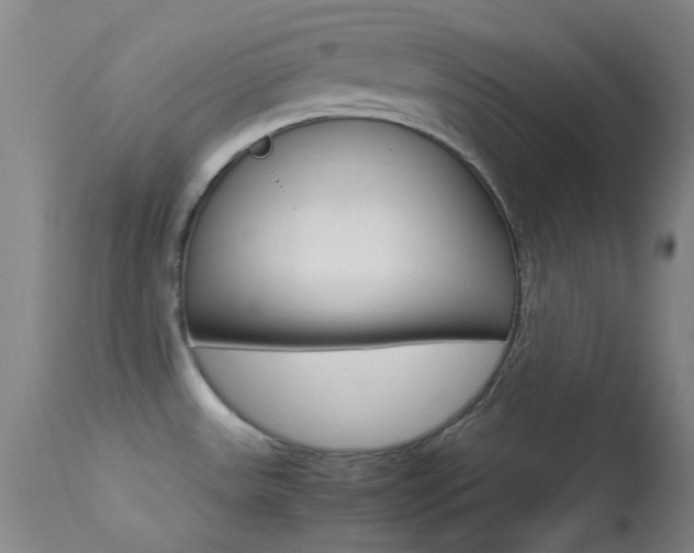 X0000113621531200909181104