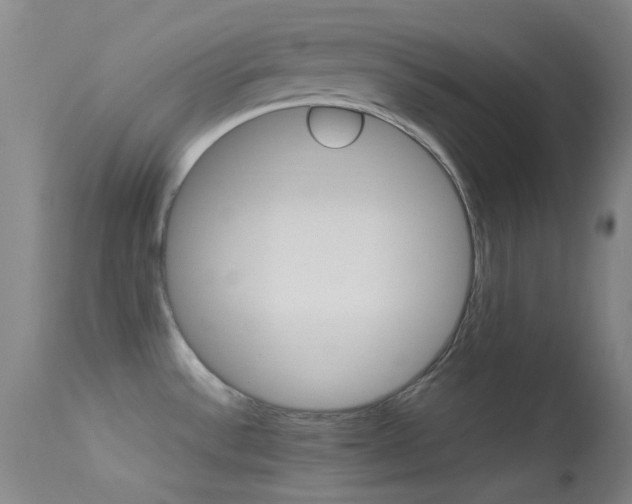 X0000113621532200909181104