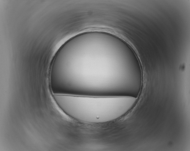 X0000113621533200909181104