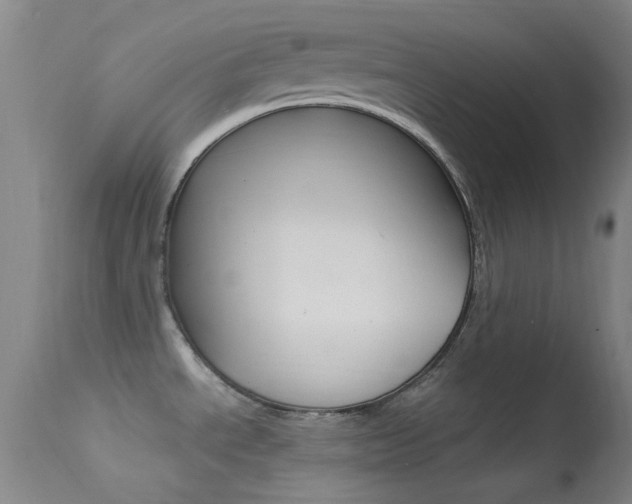 X0000113621534200909181104