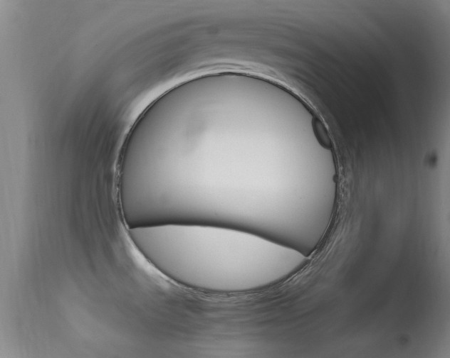 X0000113621535200909181104