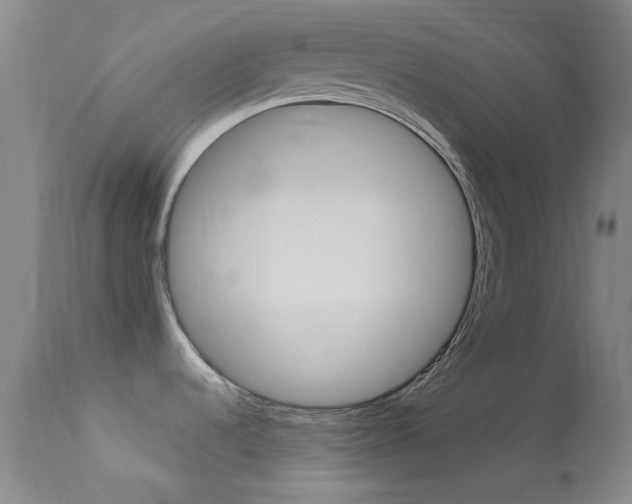 X0000113621536200909181104
