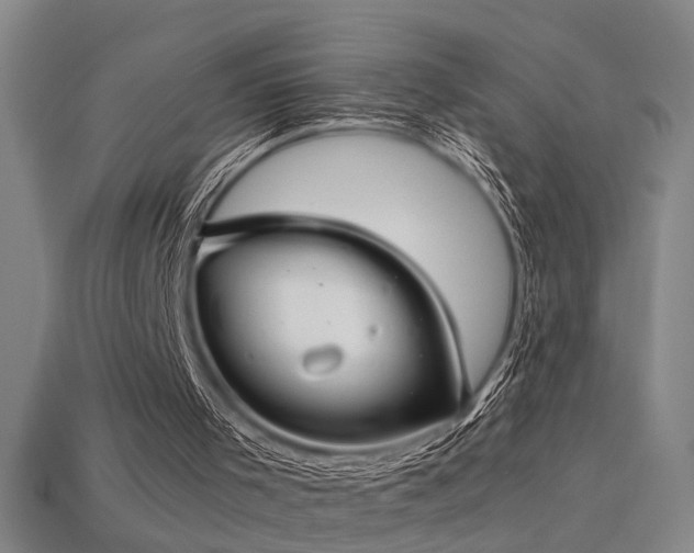 X0000113620001200909181449