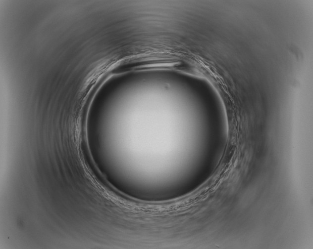 X0000113620002200909181449