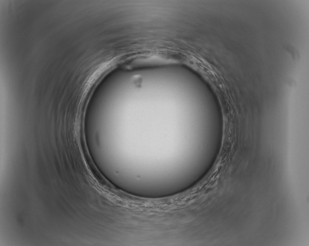 X0000113620003200909181449