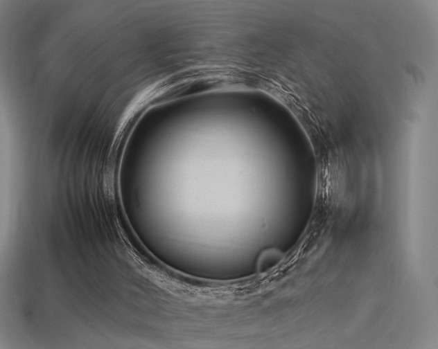 X0000113620004200909181449