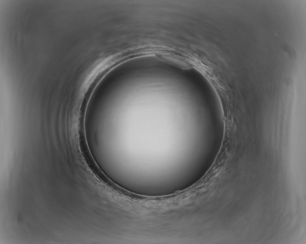 X0000113620007200909181449