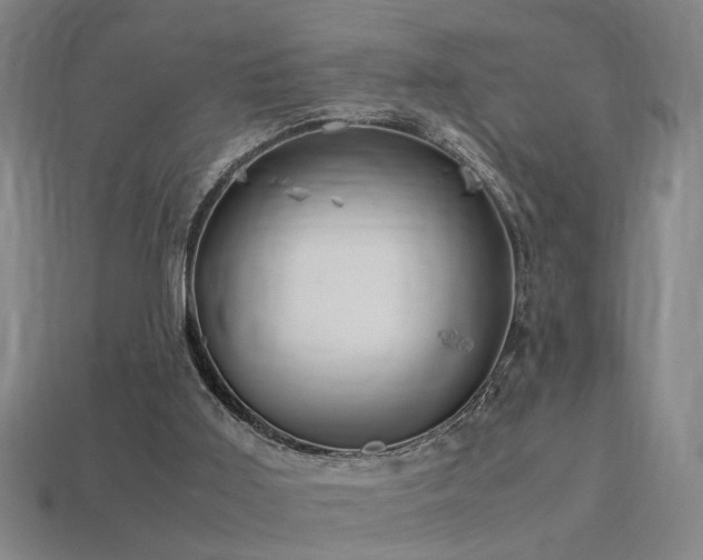 X0000113620011200909181449