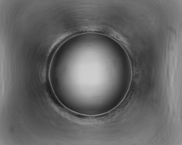 X0000113620012200909181449