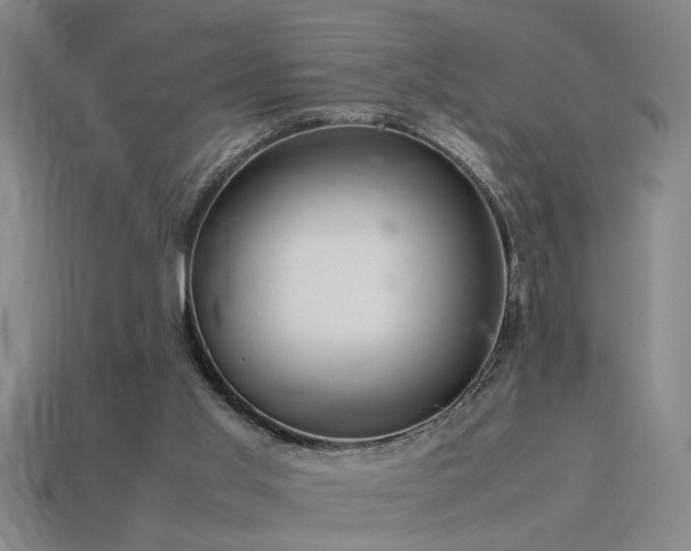 X0000113620013200909181449