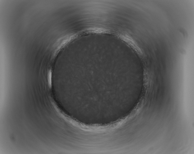 X0000113620014200909181449