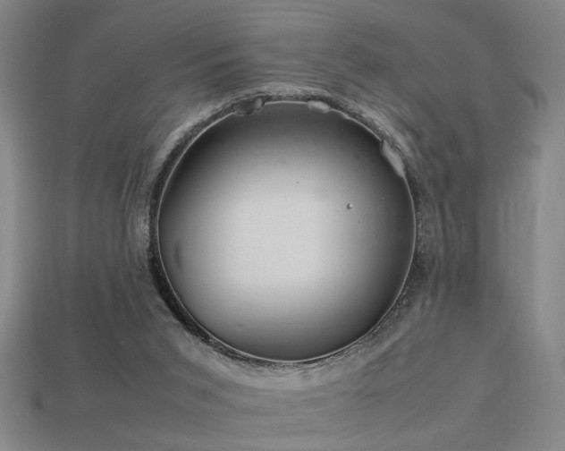 X0000113620015200909181449