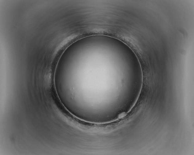 X0000113620016200909181449