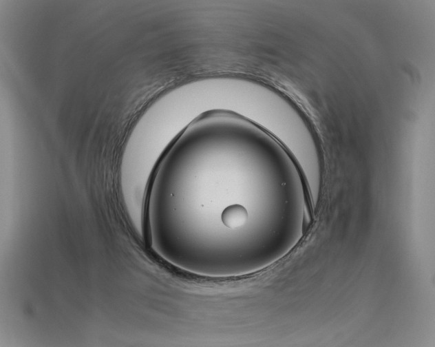 X0000113620017200909181449