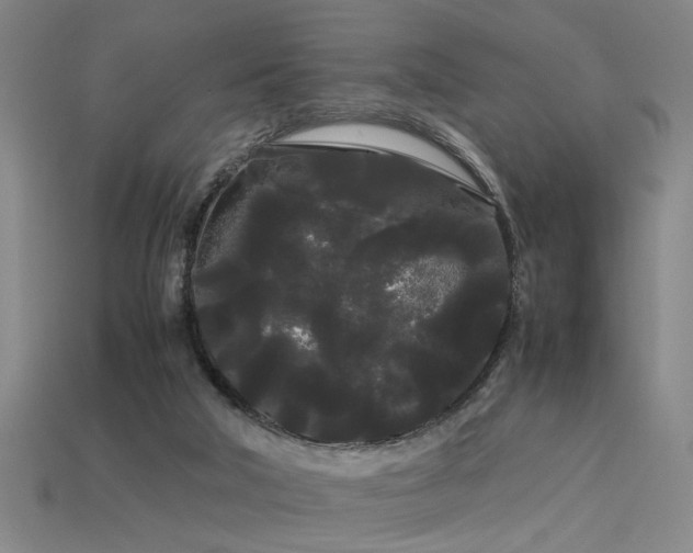 X0000113620018200909181449