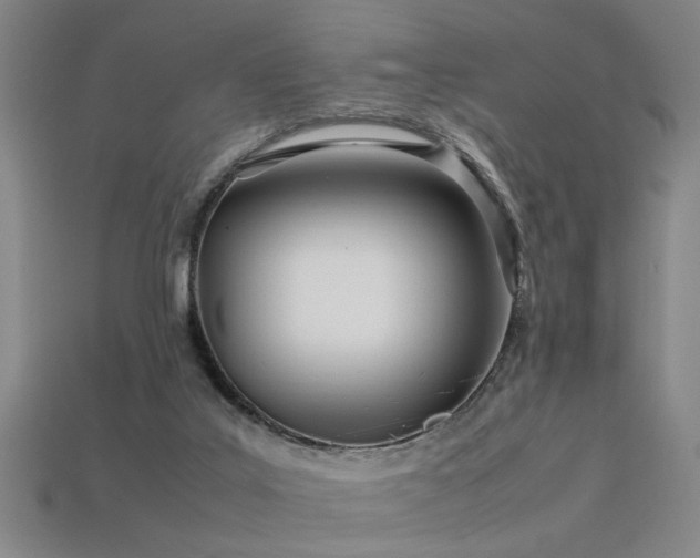 X0000113620019200909181449