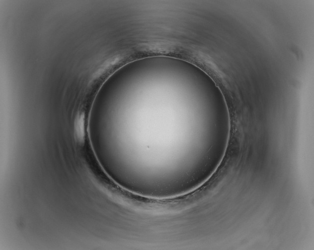 X0000113620020200909181449