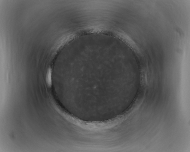 X0000113620022200909181449