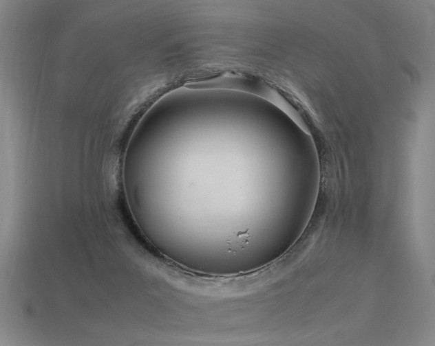 X0000113620023200909181449