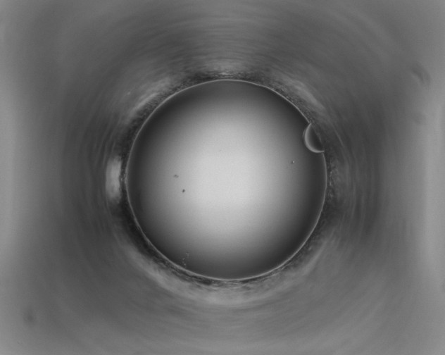 X0000113620024200909181449