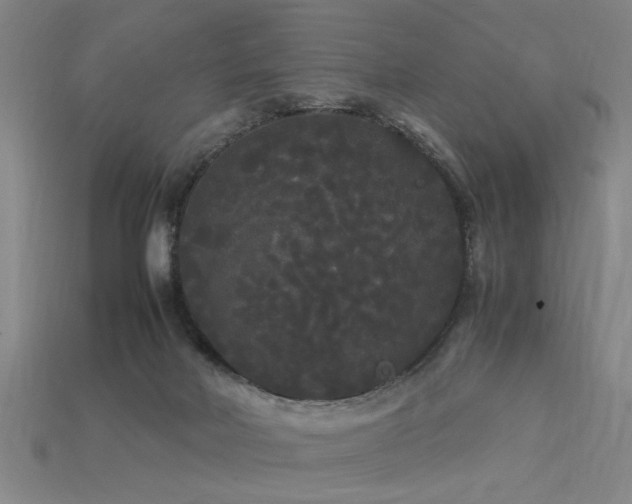 X0000113620026200909181449