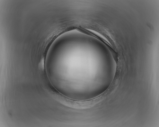 X0000113620027200909181449