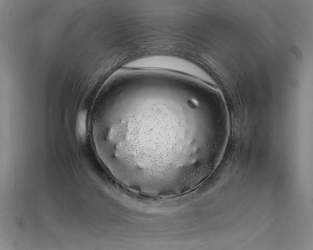 X0000113620028200909181449