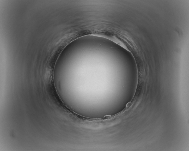 X0000113620029200909181449