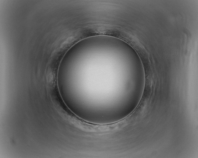 X0000113620031200909181449