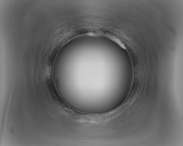 X0000113620033200909181449