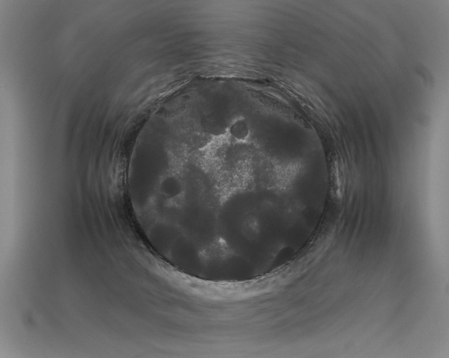 X0000113620034200909181449