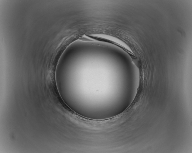 X0000113620035200909181449