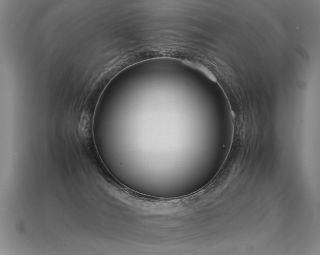 X0000113620036200909181449