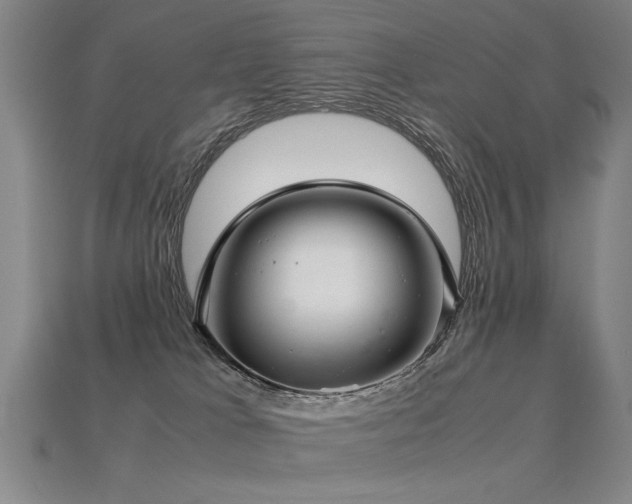 X0000113620037200909181449