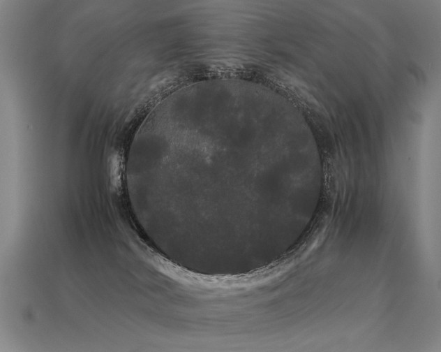 X0000113620038200909181449