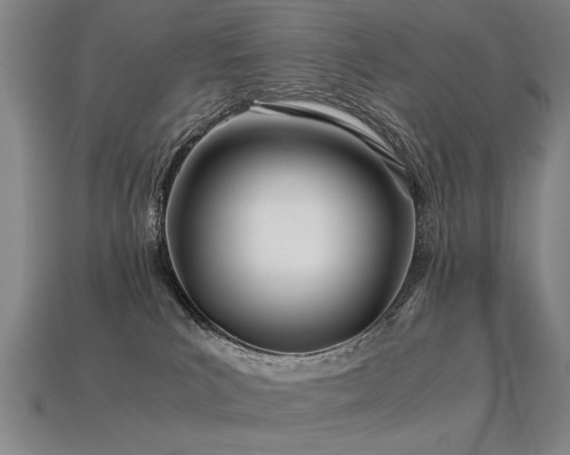 X0000113620039200909181449