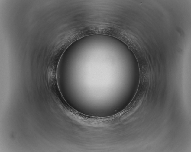 X0000113620040200909181449