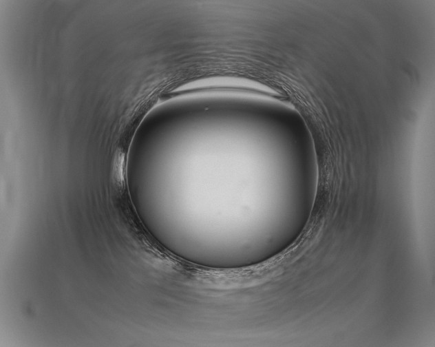 X0000113620041200909181449