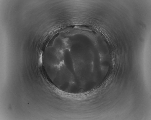 X0000113620042200909181449