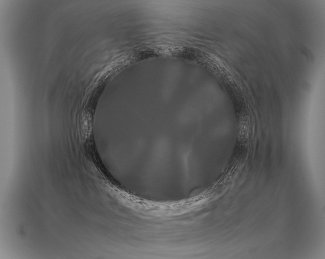 X0000113620043200909181449