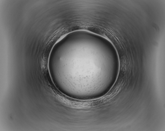 X0000113620044200909181449