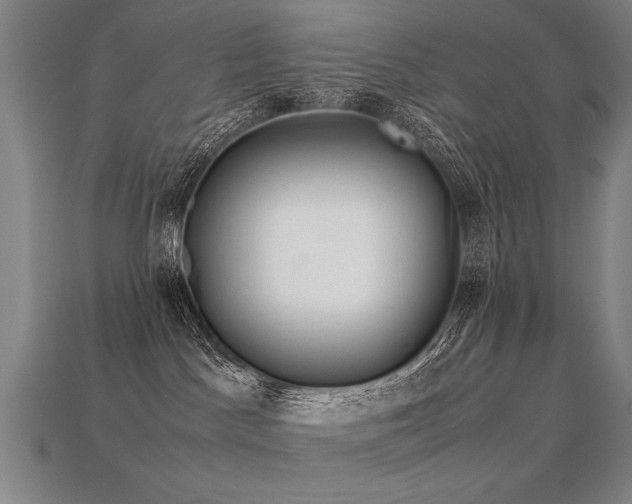 X0000113620045200909181449