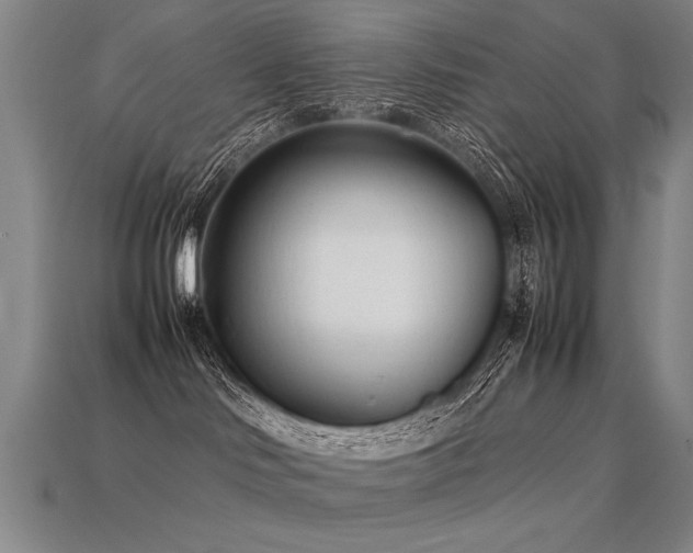 X0000113620046200909181449