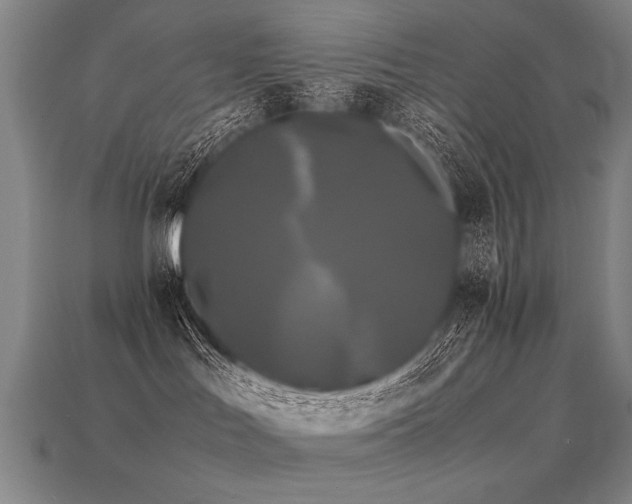 X0000113620047200909181449