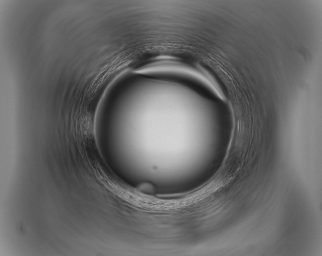 X0000113620048200909181449