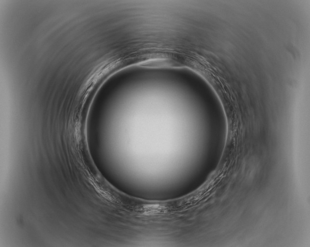 X0000113620050200909181448