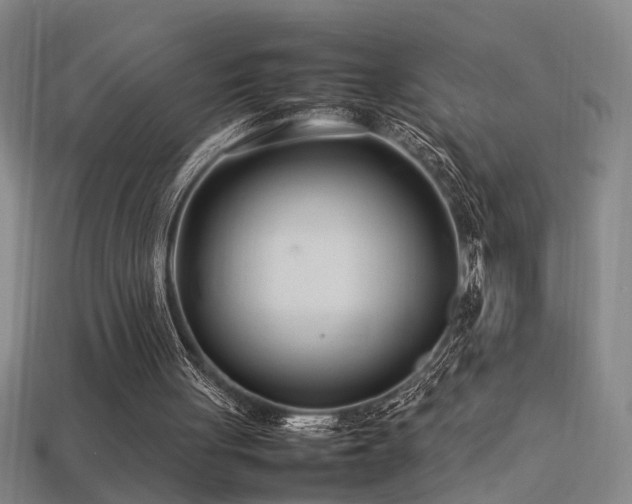 X0000113620051200909181448